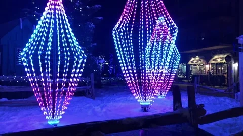 Winter Light Display Stock Footage 170274620