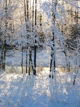 Winter light Stock Photos