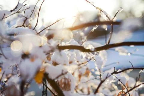 Winter Light Stock Photos