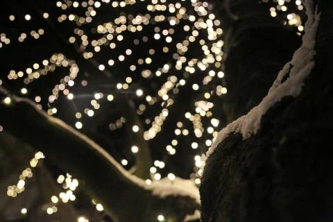 Winter light Foto stock