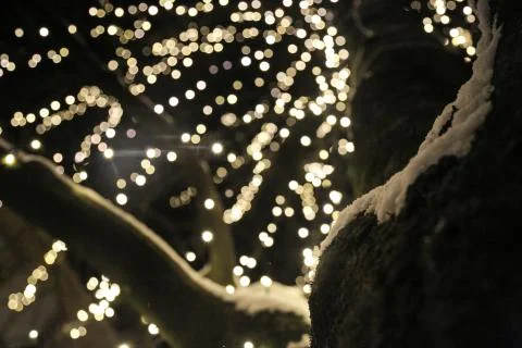 Winter lights Stock Photos