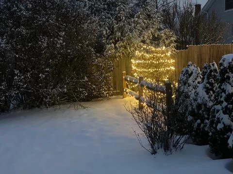 Winter Lights 库存照片