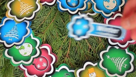 Winter loading on fir-tree branch Stock Footage 70323037