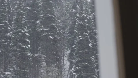 Winter Looking Out Log Cabin Window Rack Focus Trees Video stock 154137089
