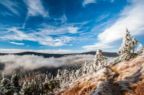 Winter in low mountains in the Czech Republic. Jeseniky Mountains, Moravia, C Stock Photos