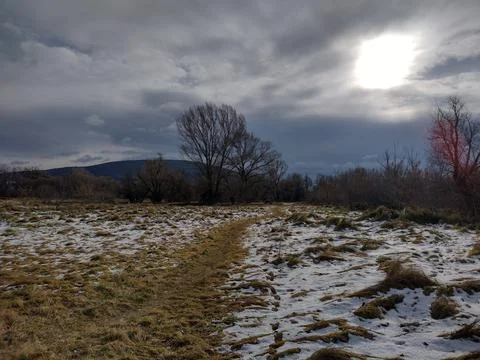 Winter on the lowland Stock Photos