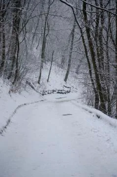 Winter in Lviv Stock Photos