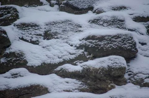 Winter in Lviv Stock Photos