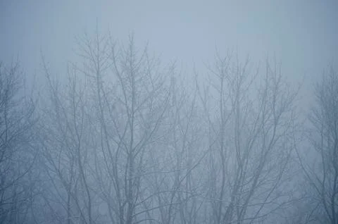 Winter in Lviv Stock Photos