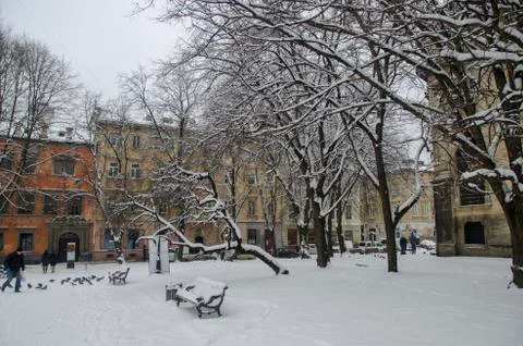 Winter in Lviv Stock Photos