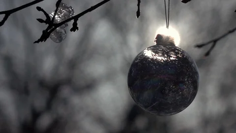 Winter lyric scene with low sun in frame and apple twig with buds, piece of ice Stock Footage 86042456