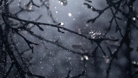 Winter lyric scene of shining snowfall in shallow focus and apple twigs Stock Footage 86429528