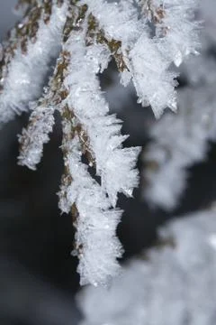 Winter macro Stock Photos