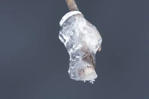 Winter macro Stock Photos