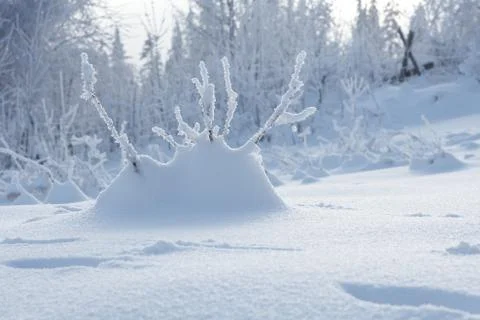 Winter macro Stock Photos