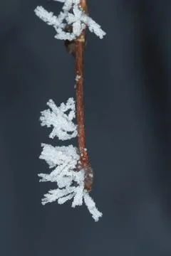 Winter macro Stock Photos