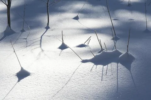 Winter macro Stock Photos