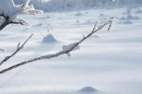 Winter macro Stock Photos