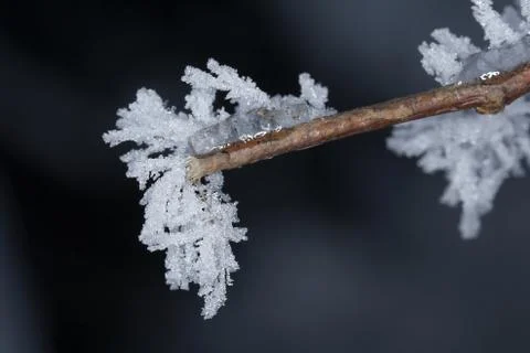 Winter macro Stock Photos