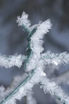 Winter macro Stock Photos