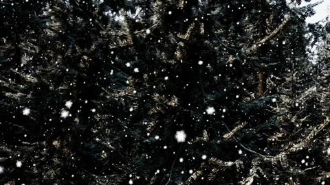 Winter Magic as Snowflakes Dance Around a Tranquil Evergreen Forest Scene Stock Footage 344823263