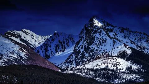 Winter Majesty Stock Photos