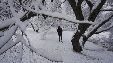 Winter. The man in the forest. Snow. Stock Footage 83272516