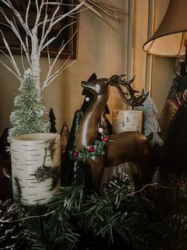 Winter Mantle Stock Photos