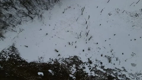 Winter Marsh 2 Видео 169613116