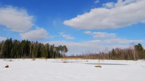 Winter marsh 스톡 동영상 10864461