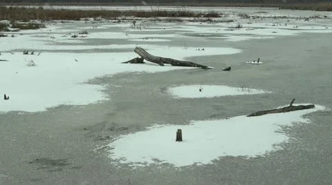 Winter marsh Stock Footage 20621412
