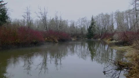 Winter marsh tidal land in the Olympic Peninsula of Wa. State Stock Footage 70824380