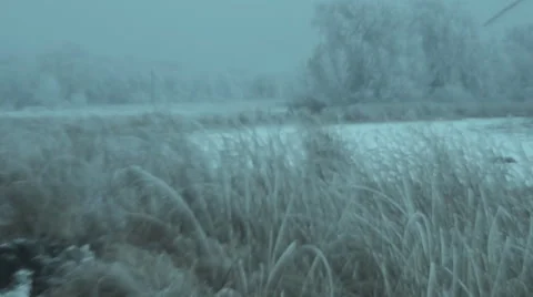 Winter, meadow 스톡 동영상 45363415