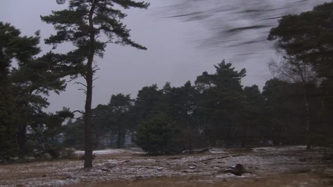 Winter meadow Stock Footage 85917583