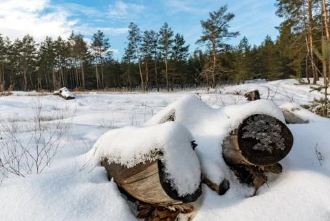 Winter meadow in forest Stock-Fotos
