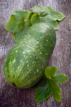 Winter melon (Benincasa hispida) Stock Photos