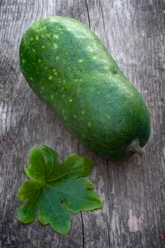 Winter melon (Benincasa hispida) Stock Photos