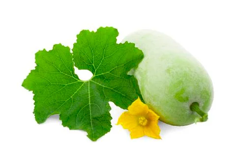 Winter melon fruit with leaf and flower isolated on white background Foto stock