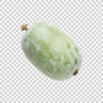 Winter melon gourd isolated on transparent background healthy fresh organic.. Stockfoto's