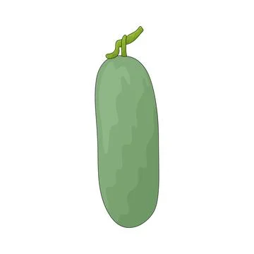 Winter Melon illustration Stock Illustration