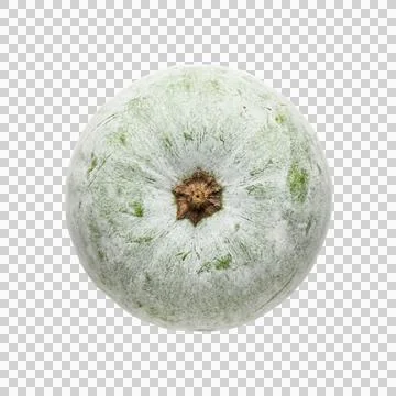Winter melon isolated on transparent background healthy fresh organic produ.. Фото