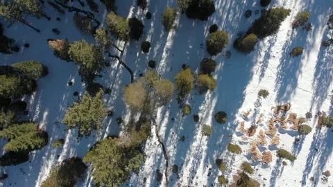 Winter Midday drone clip over forests [2K] Video stock 115540133