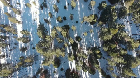 Winter Midday drone clip over forests [2K] Video stock 115541632
