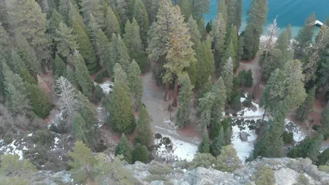 Winter Midday drone clip over forests [2K] Video stock 115560912