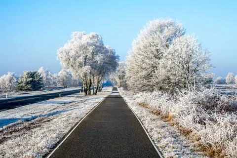 Winter in the middle of the Netherlands. Foto stock