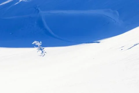 Winter mini macro of snow, white snow with blue shadow effect Stock Photos