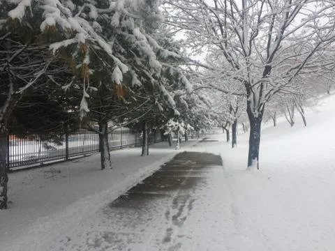 Winter in Minnesota Stock Photos