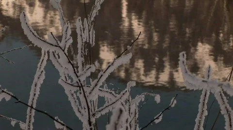 Winter mirror water 動画素材 788878