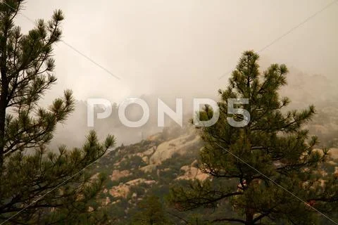 Winter Mist Stock Photos