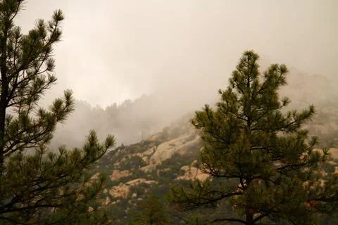 Winter Mist 库存照片